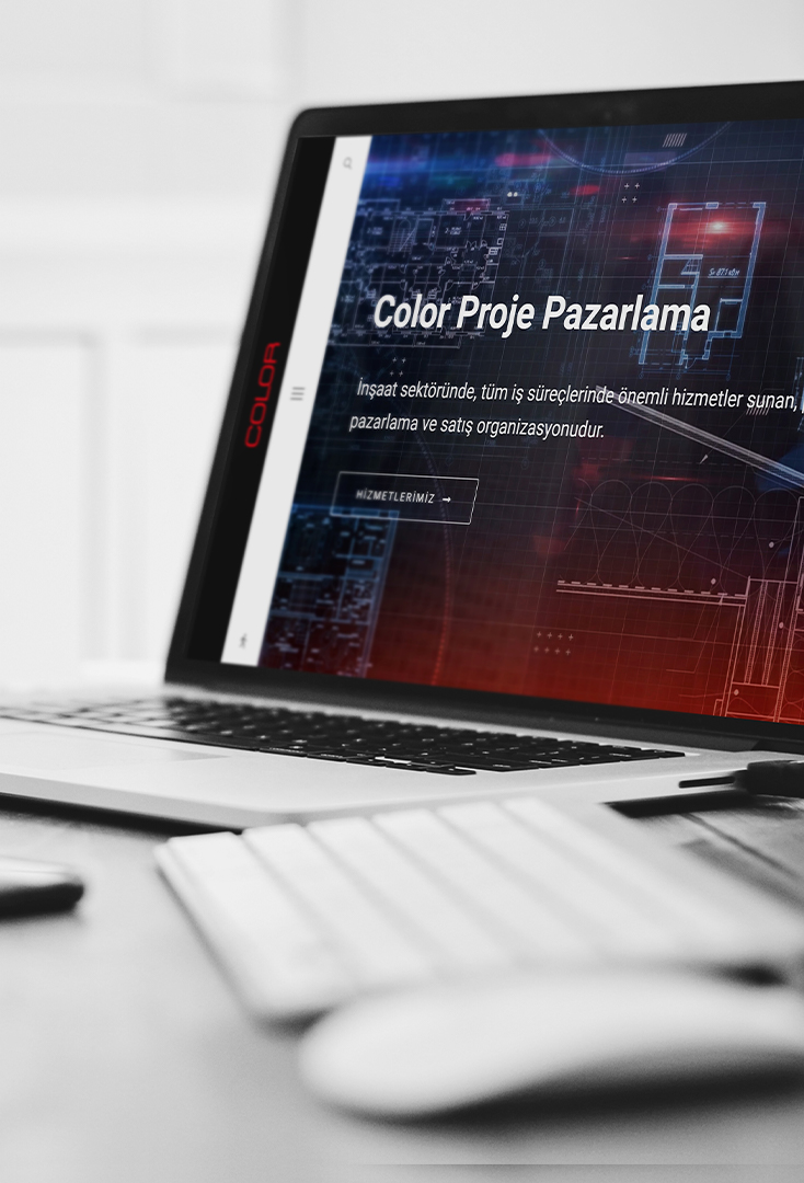 color proje pazarlama kurumsal web tasarım