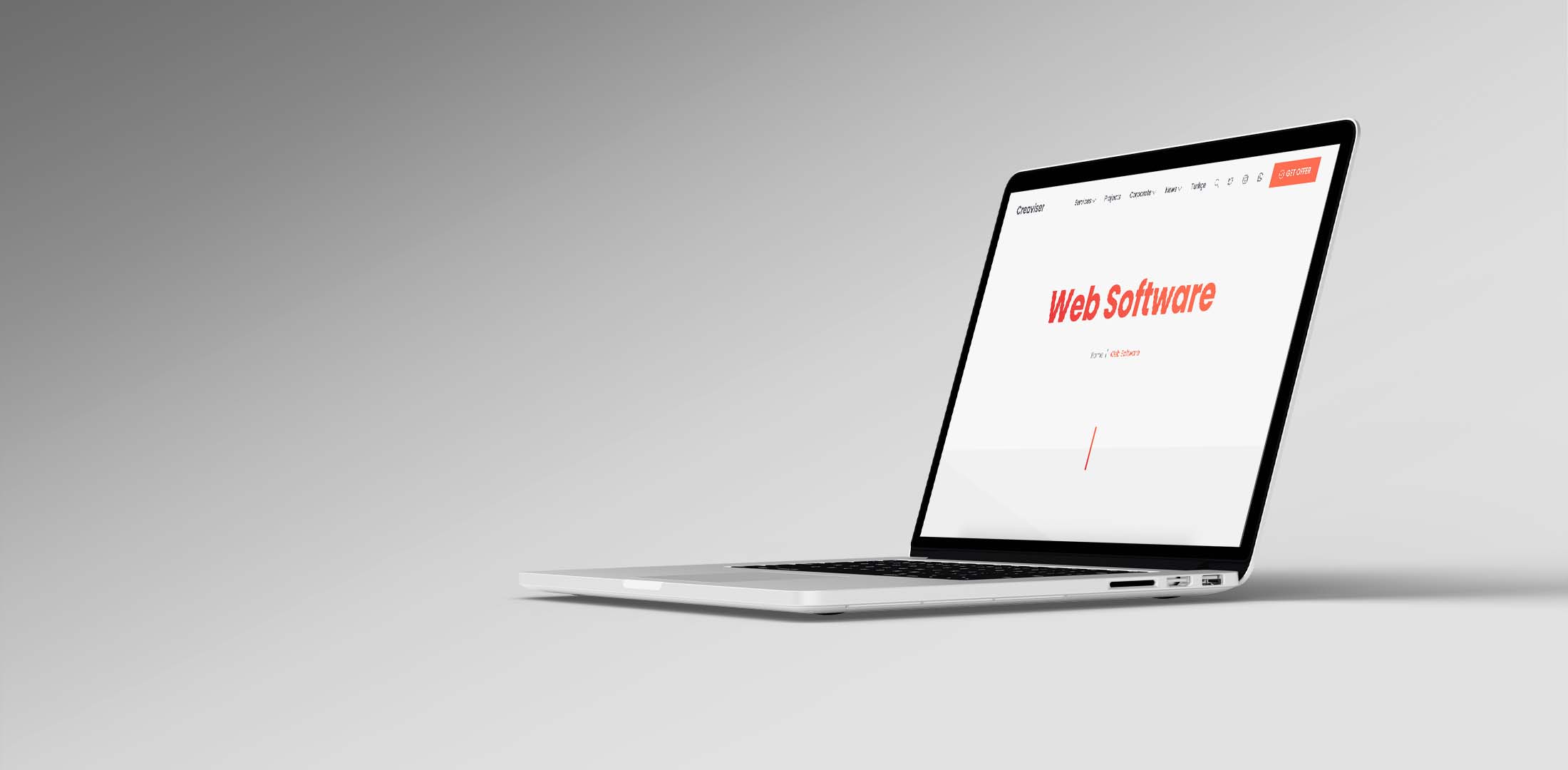 Web Software