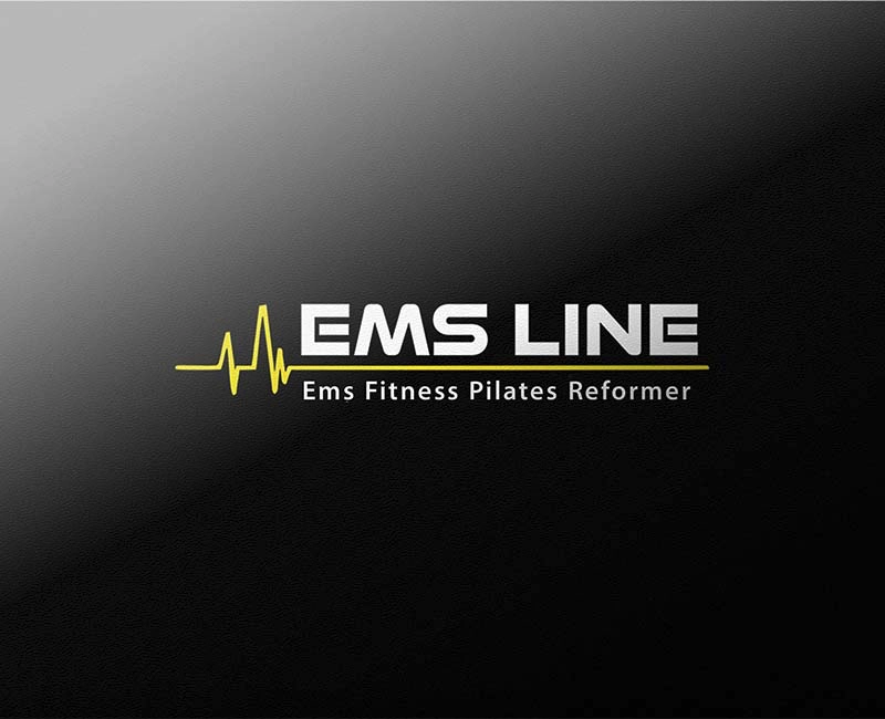 en iyi logo tasarım örnekleri ems line