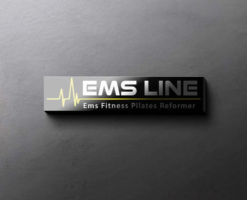 en iyi logo tasarımı örnekleri ems line