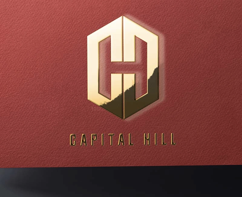 en iyi logo tasarımları capital hill