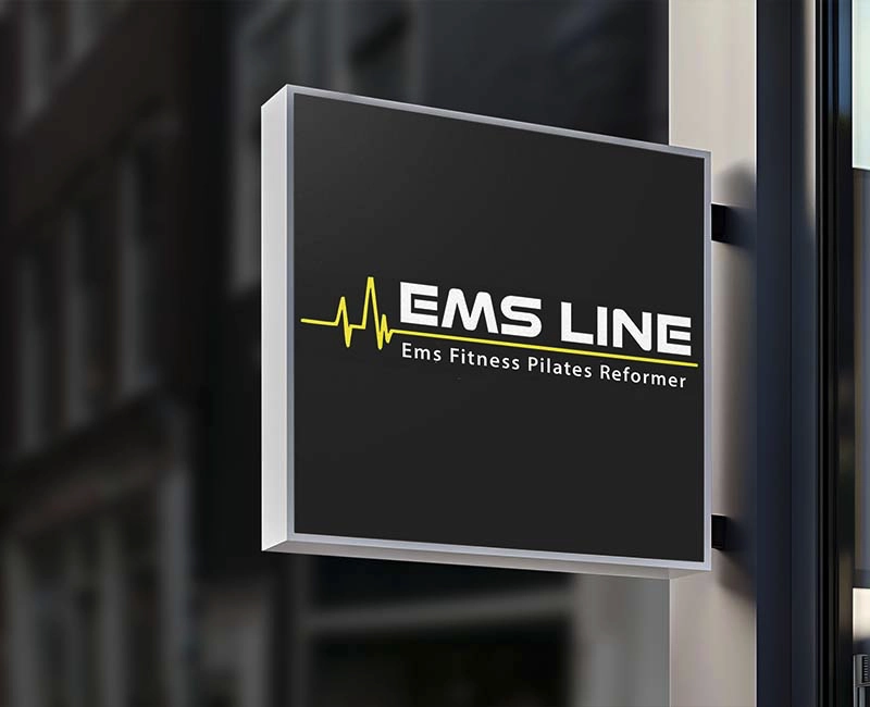 en iyi logo tasarımları örnekleri ems line
