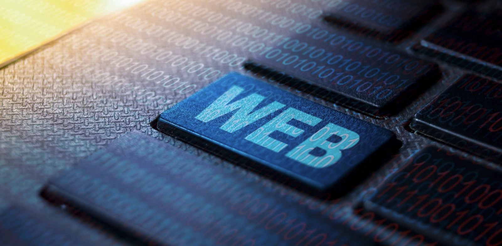 Web Tasarımcısı